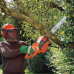 Електрически верижен трион BLACK&DECKER CS2040