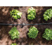 Комплект за капково напояване HOZELOCK Easy Drip Universal Kit