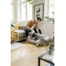 Акумулаторна прахосмукачка KARCHER VC 4 Cordless myHome Pet