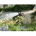 Маркуч за поливане KARCHER Performance Premium 1/2 - 50 m