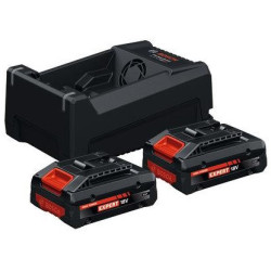 Стартов комплект BOSCH EXPERT 2 x EXBA 18V-40 + GAL 12V/18V-80