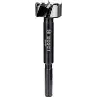 Фрезер за глухи отвори BOSCH EXPERT Wood 25 mm