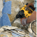 Длето лопата  DeWALT SDS-Plus 40x250 mm