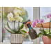 Пръскачка GARDENA 0,75L