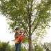 Акумулаторна лозарска телескопична ножица MILWAUKEE M18 BLTS-551