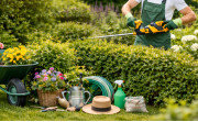 Топ съвети за поддръжка на градината