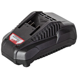 Зарядно устройство RAIDER RDP-R20