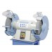 Шмиргел с два диска BERNARDO DS 250 S